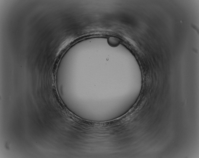 X0000094911267200711290952