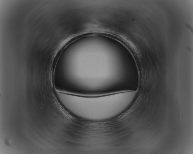 X0000094911272200711290952
