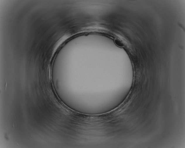 X0000094911275200711290951
