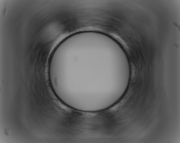 X0000094911278200711290951