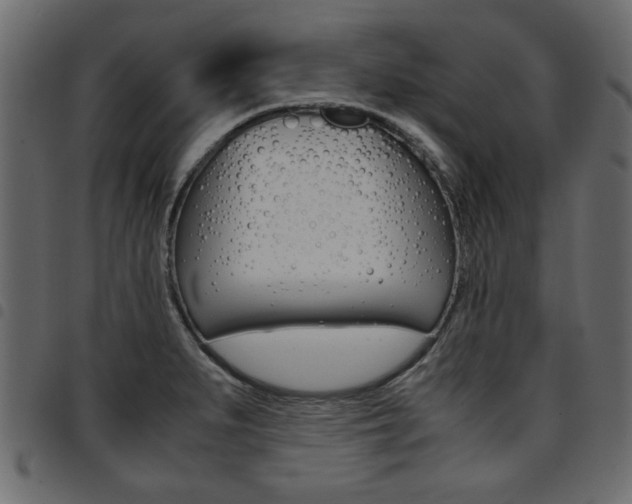 X0000094911279200711290951