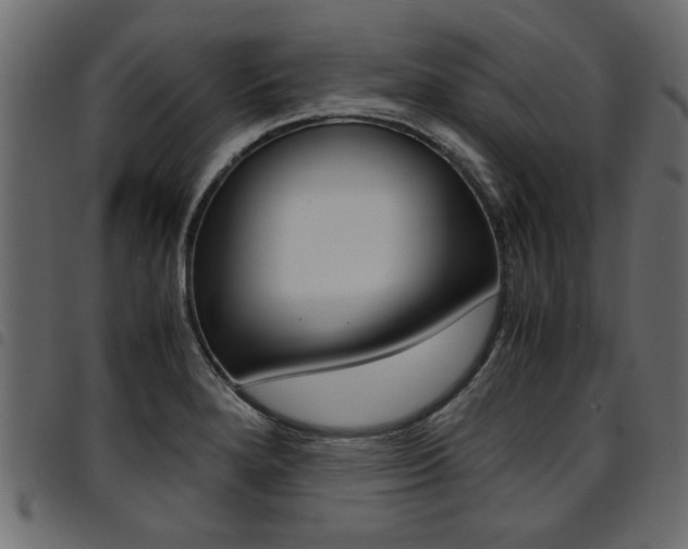 X0000094911280200711290951