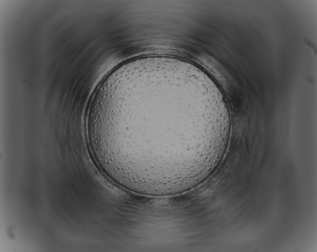 X0000094911283200711290951
