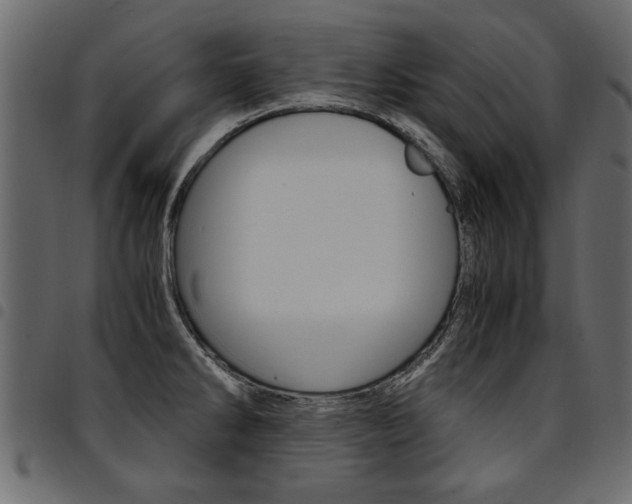 X0000094911286200711290951