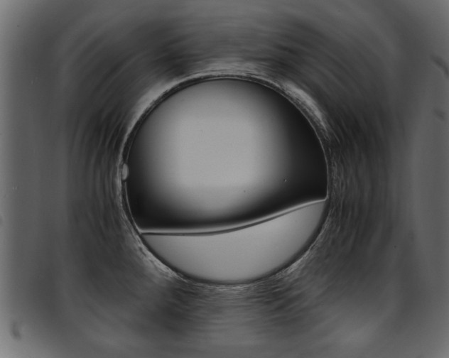 X0000094911288200711290951