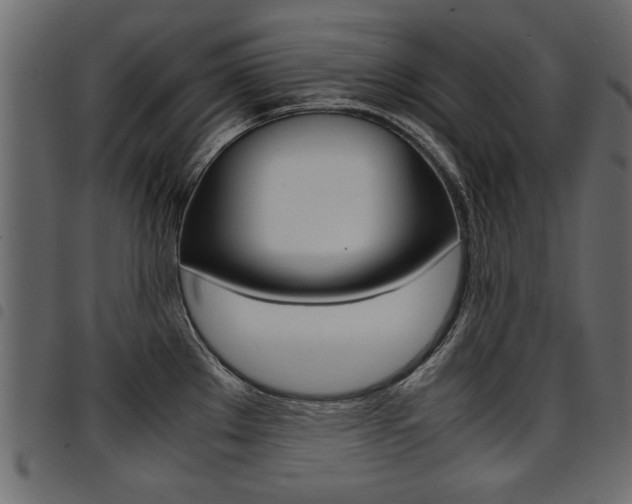 X0000094911289200711290951