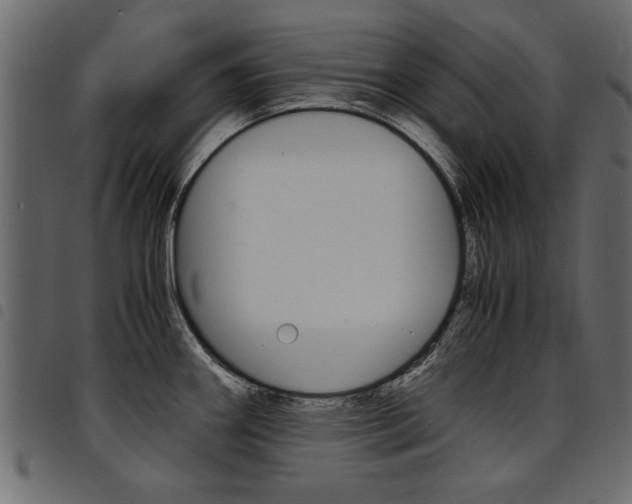 X0000094911290200711290951