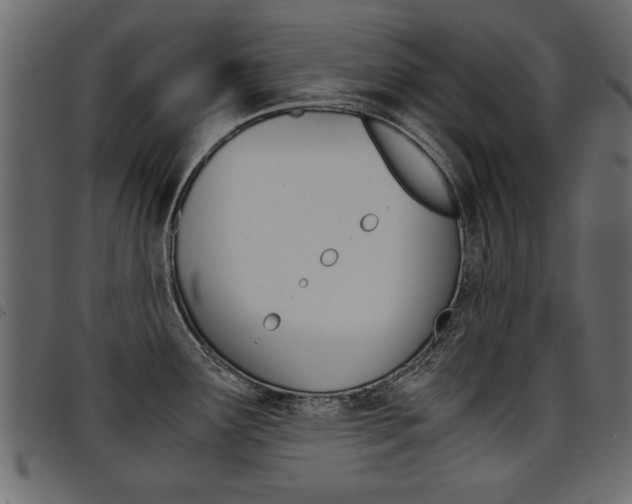 X0000094911291200711290951