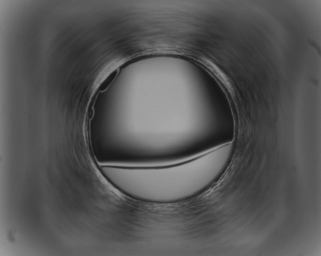 X0000094911293200711290951