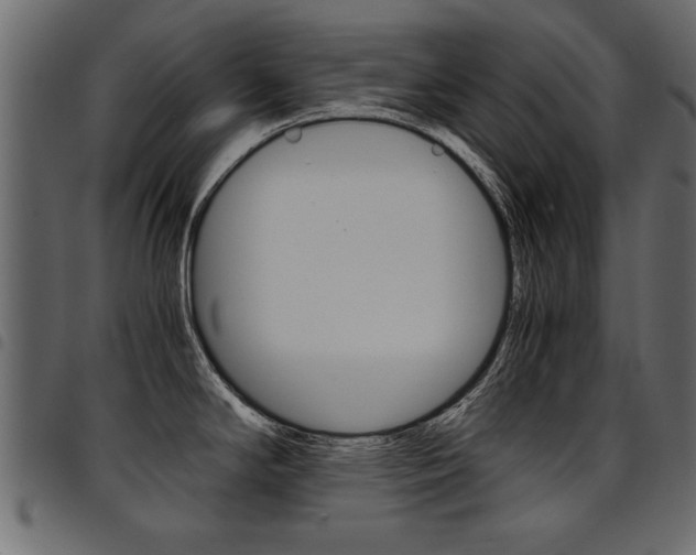 X0000094911294200711290951