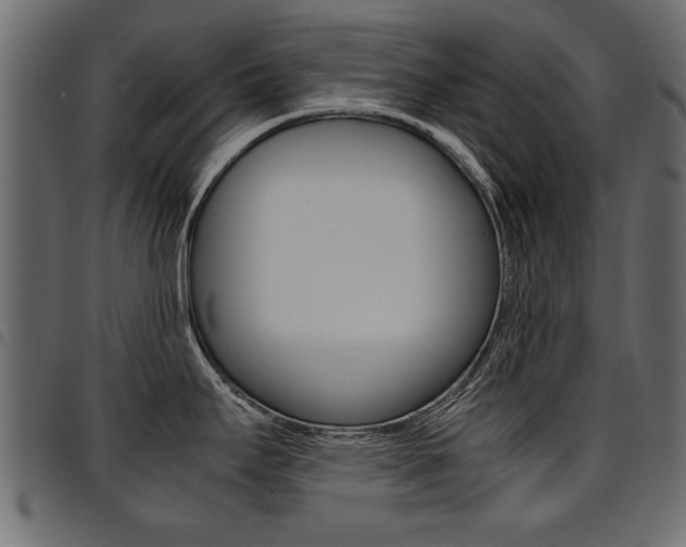 X0000094911295200711290951