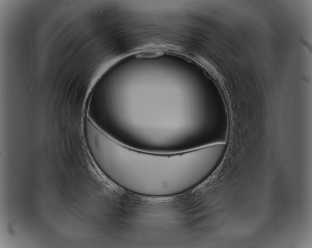 X0000094911296200711290951