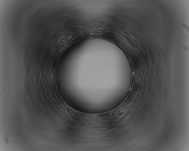 X0000094911298200711290951