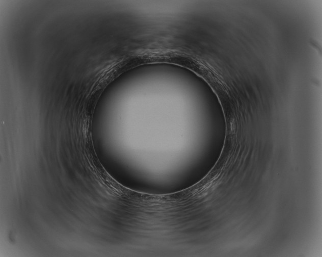 X0000094911300200711290951
