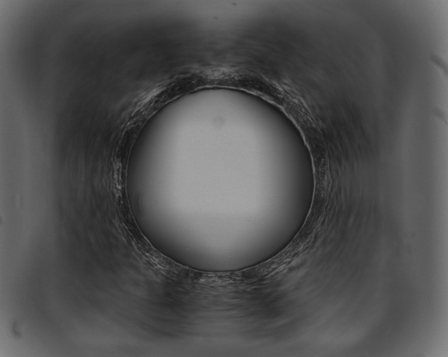 X0000094911301200711290951