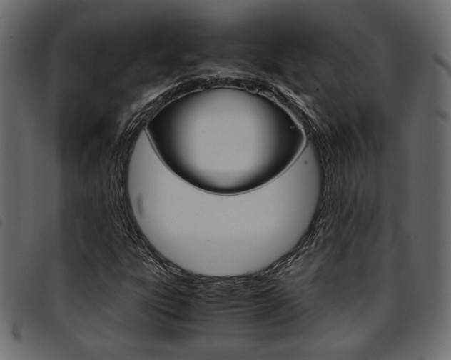 X0000094911303200711290951