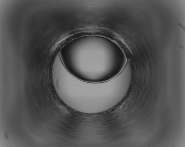 X0000094911304200711290951