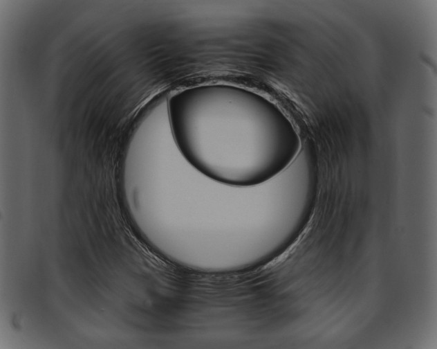 X0000094911305200711290951