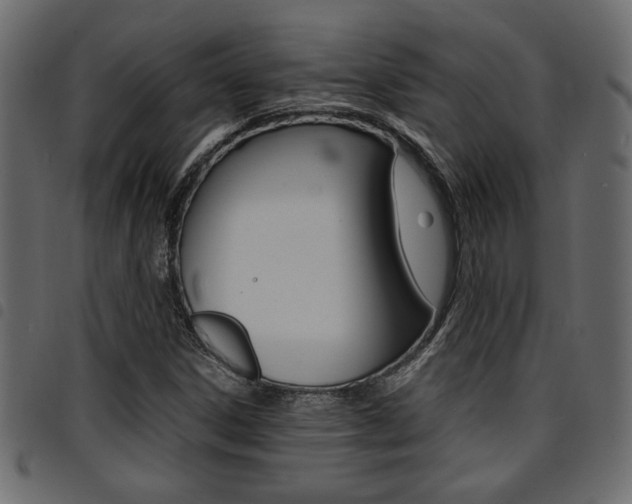 X0000094911306200711290951