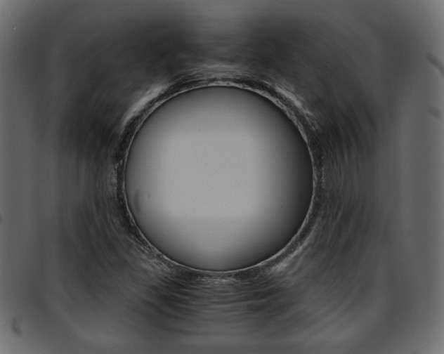 X0000094911309200711290951