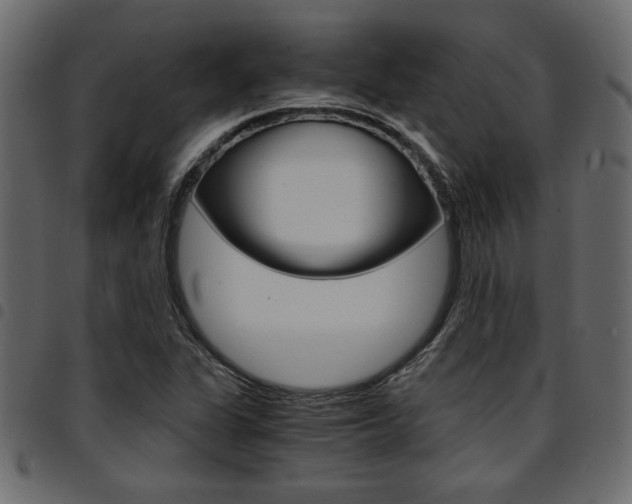 X0000094911311200711290951