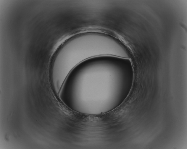 X0000094911312200711290951
