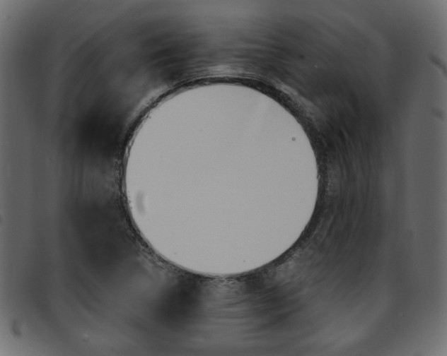 X0000094911314200711290951