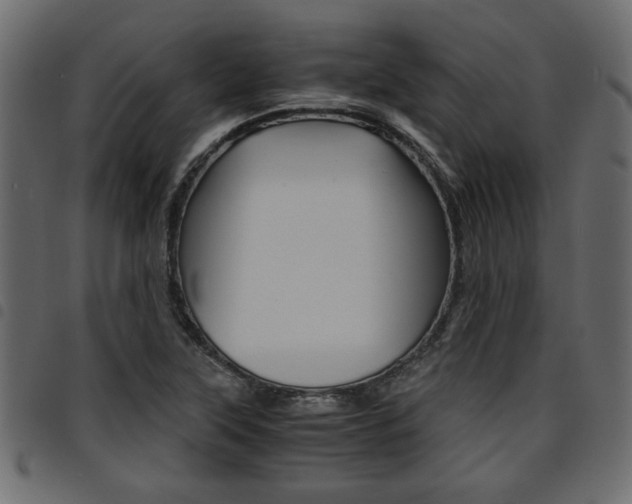 X0000094911315200711290951
