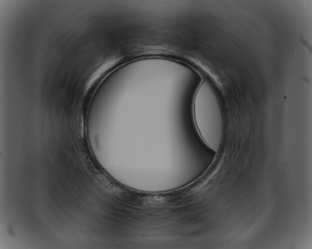 X0000094911317200711290951
