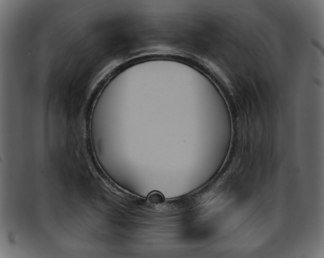 X0000094911318200711290951