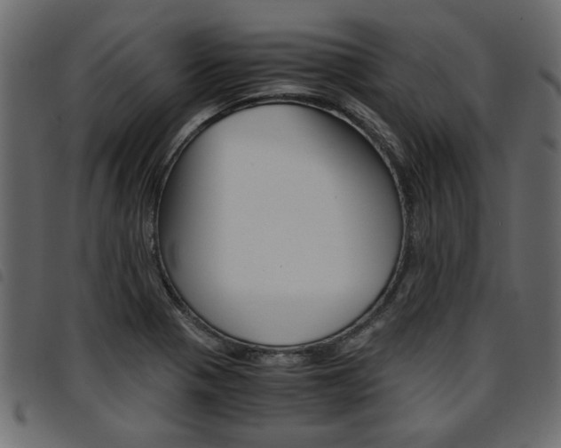 X0000094911321200711290951