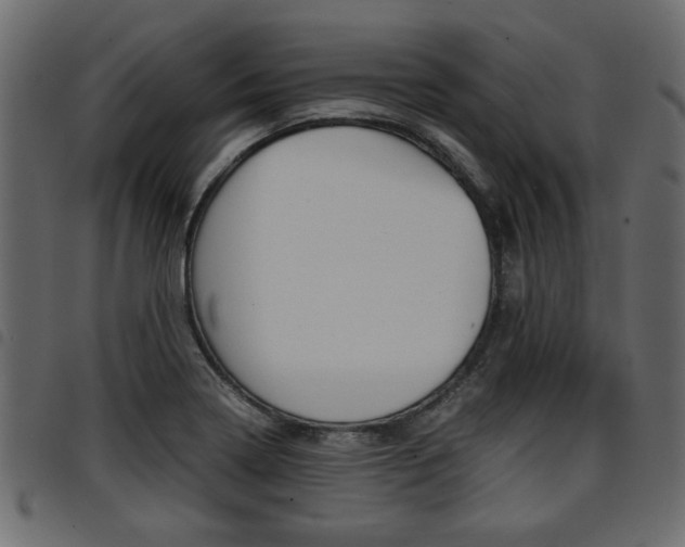 X0000094911322200711290951