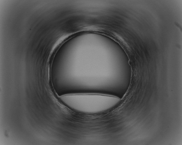 X0000094911323200711290951