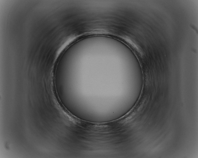 X0000094911325200711290951
