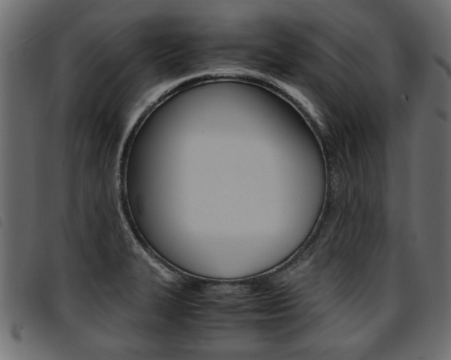 X0000094911327200711290951