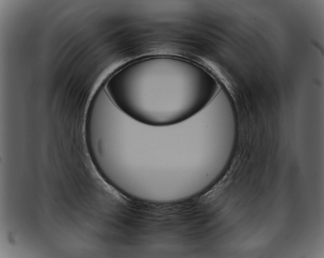 X0000094911331200711290951