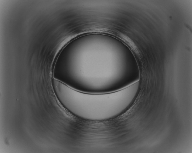X0000094911332200711290951
