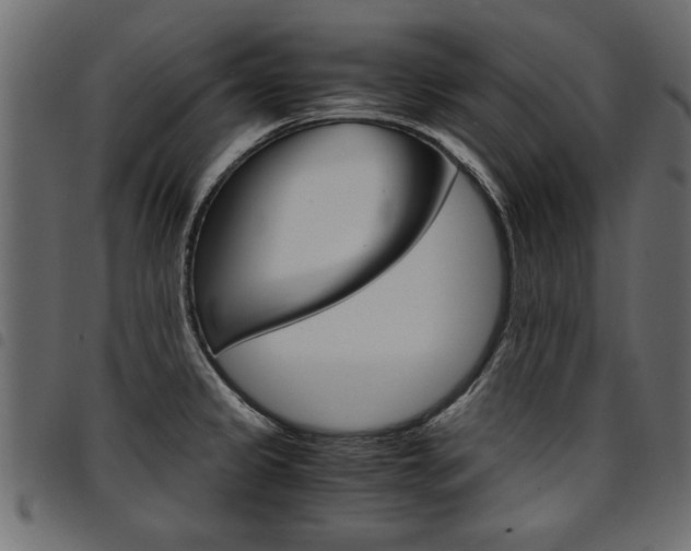 X0000094911333200711290951
