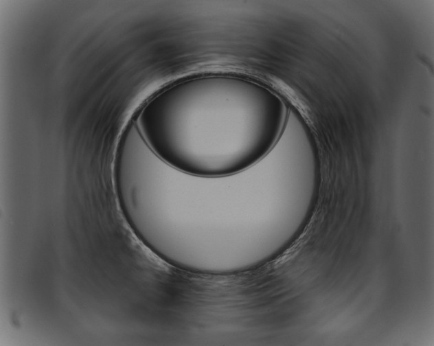 X0000094911334200711290951