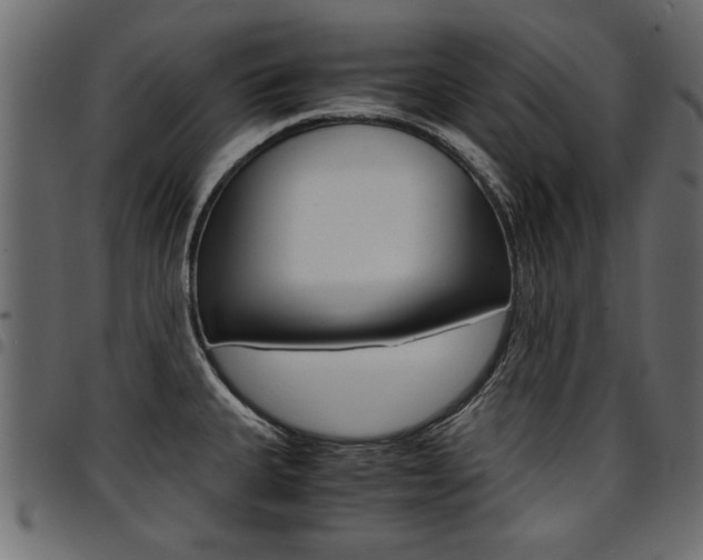 X0000094911335200711290951