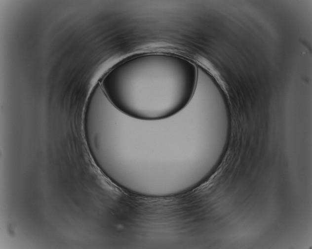X0000094911336200711290951