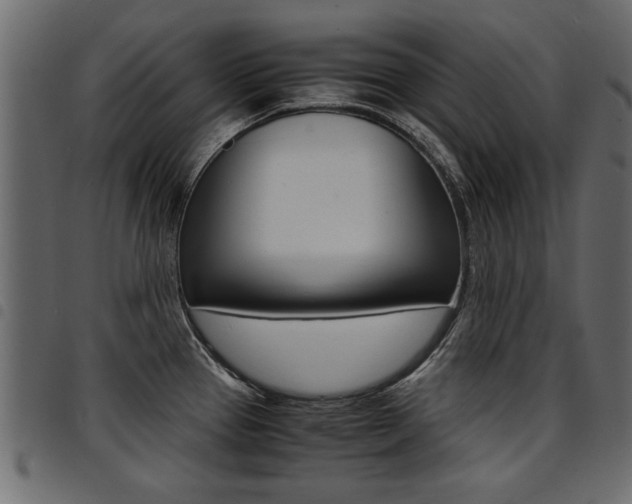 X0000094911337200711290951