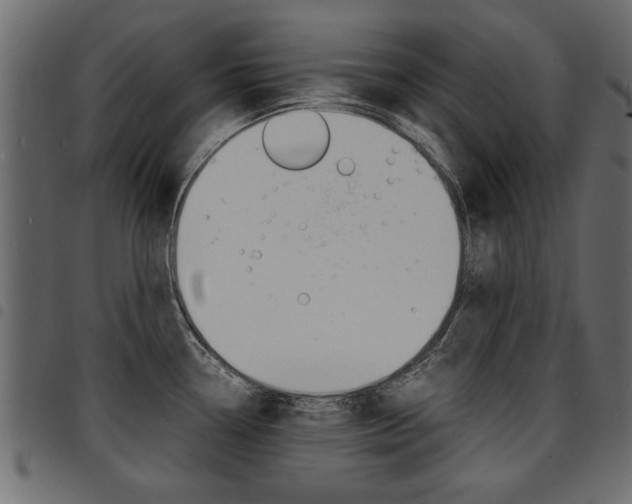 X0000094911338200711290951