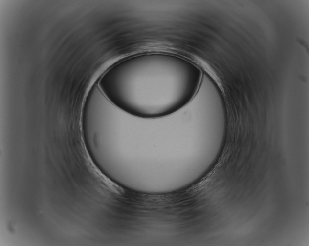 X0000094911339200711290951