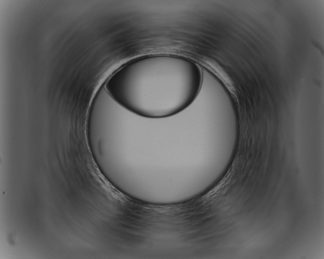 X0000094911340200711290951