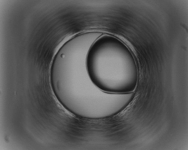 X0000094911341200711290951