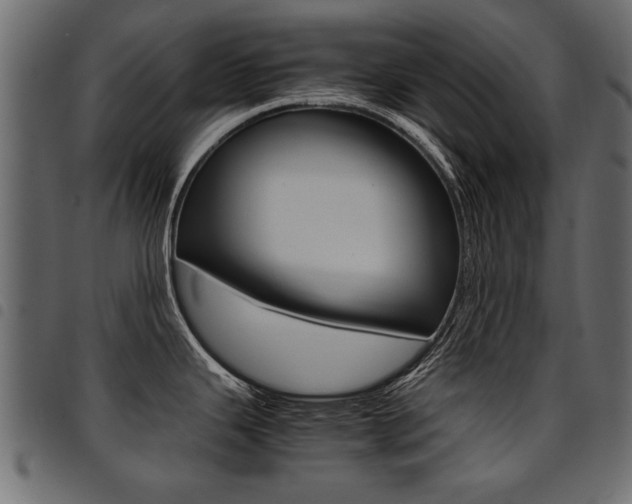 X0000094911343200711290951