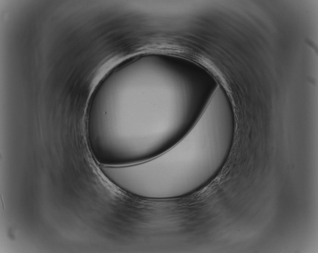 X0000094911344200711290951