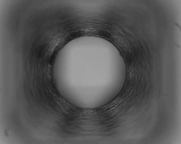 X0000094911346200711290951