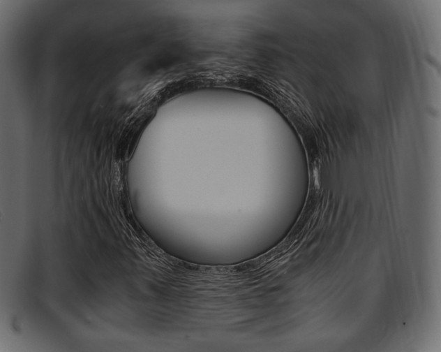 X0000094911347200711290951